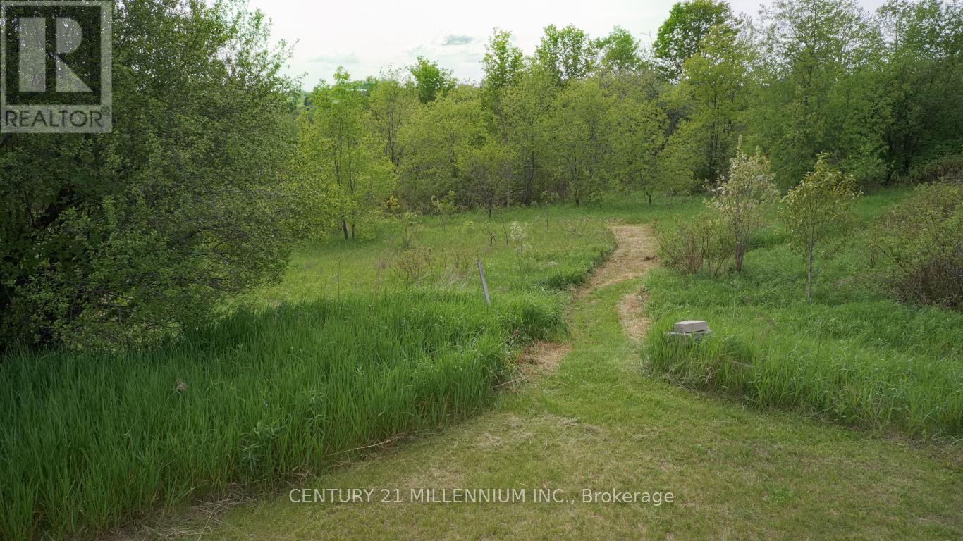 23 Grand View Road, Amaranth, Ontario  L9W 5L9 - Photo 12 - X12188688