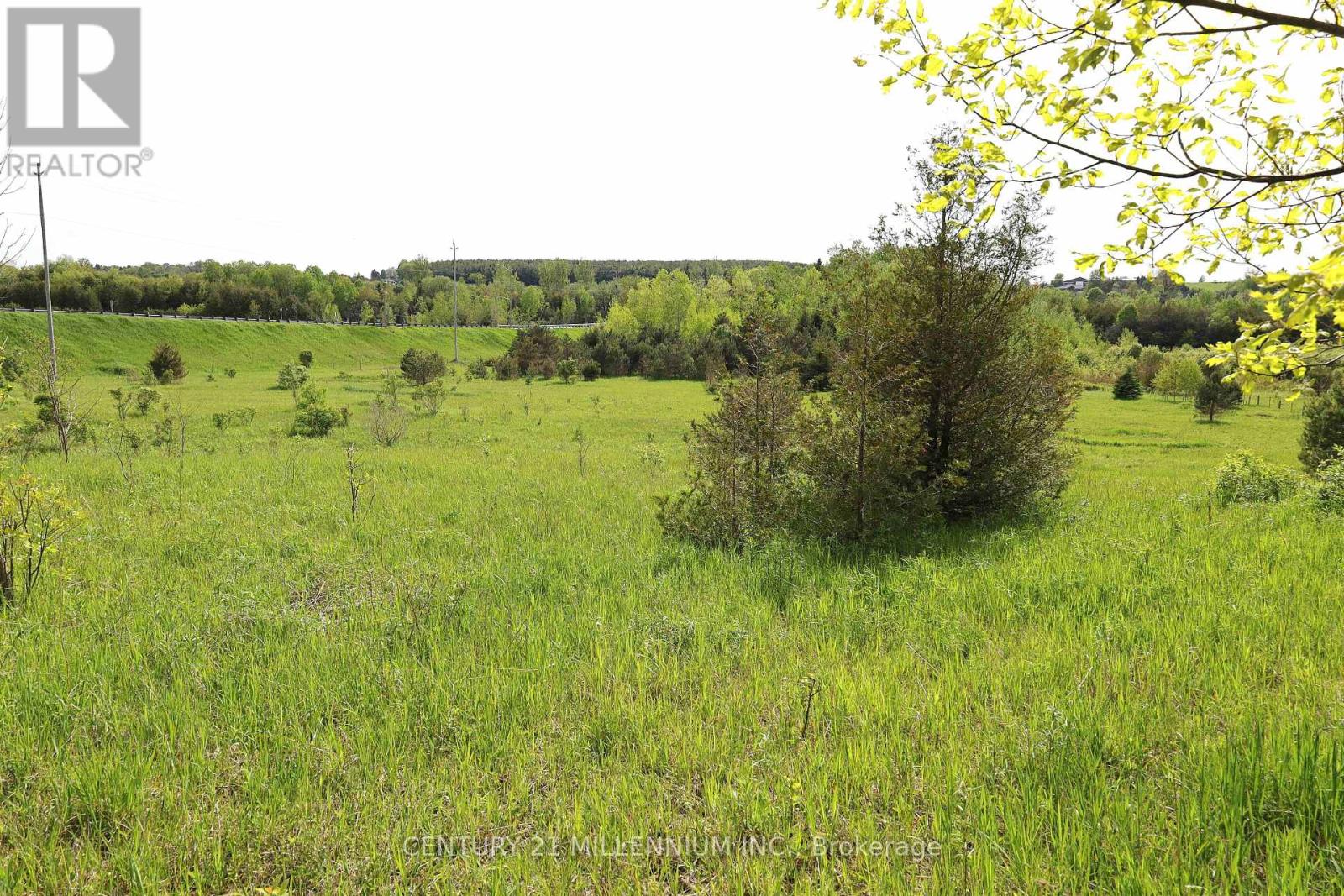 23 Grand View Road, Amaranth, Ontario  L9W 5L9 - Photo 14 - X12188688