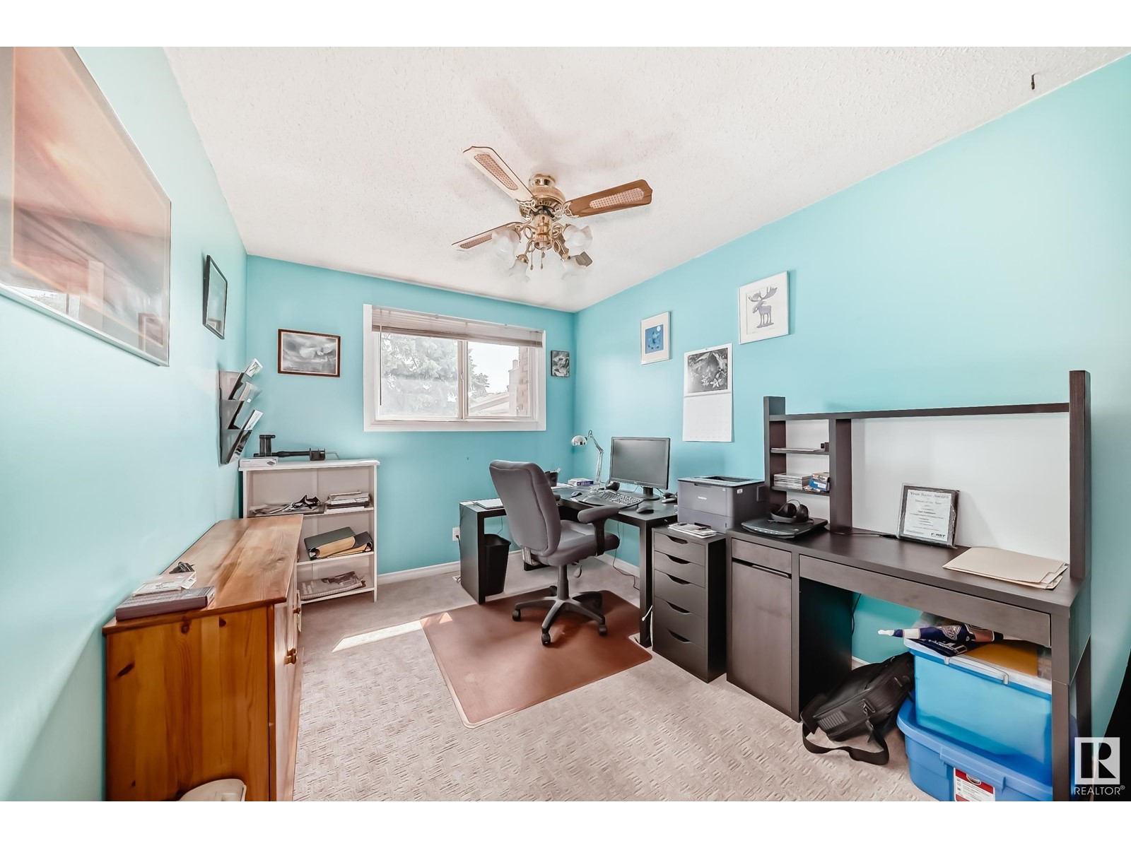 13049 34 St Nw, Edmonton, Alberta  T5A 3K3 - Photo 17 - E4439862