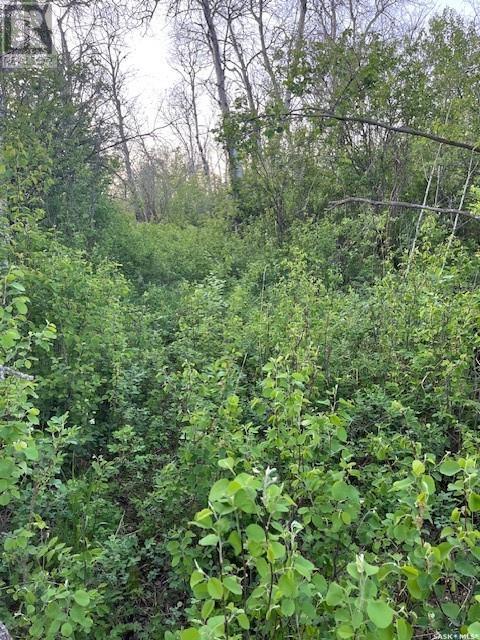 Auction Mart Road West 10 Acres, Corman Park Rm No. 344, Saskatchewan  S0K 2L0 - Photo 14 - SK993316