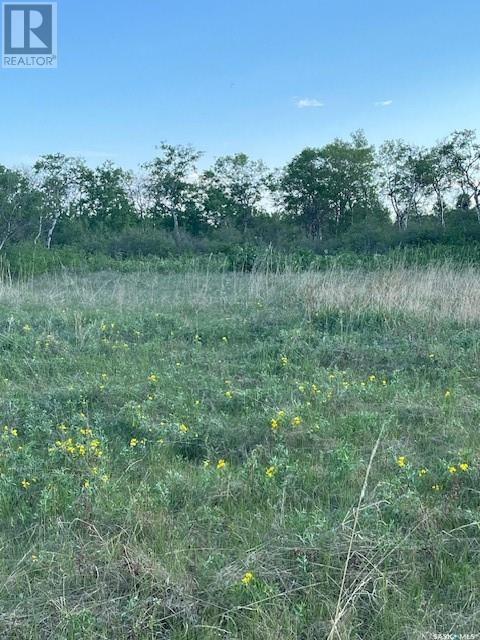 Auction Mart Road West 10 Acres, Corman Park Rm No. 344, Saskatchewan  S0K 2L0 - Photo 18 - SK993316