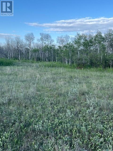 Auction Mart Road West 10 Acres, Corman Park Rm No. 344, Saskatchewan  S0K 2L0 - Photo 7 - SK993316