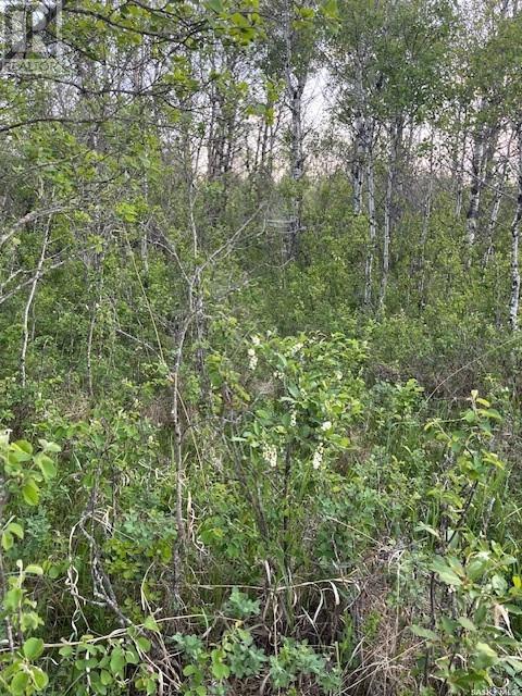 Auction Mart Road West 10 Acres, Corman Park Rm No. 344, Saskatchewan  S0K 2L0 - Photo 11 - SK993316