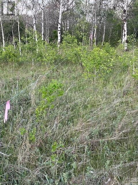 Auction Mart Road West 10 Acres, Corman Park Rm No. 344, Saskatchewan  S0K 2L0 - Photo 9 - SK993316