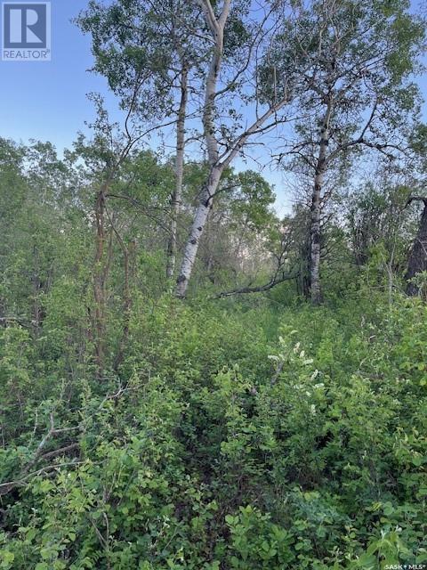Auction Mart Road West 10 Acres, Corman Park Rm No. 344, Saskatchewan  S0K 2L0 - Photo 15 - SK993316