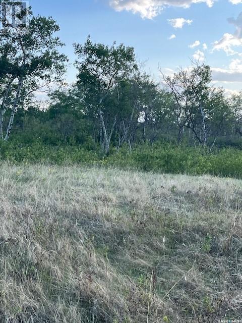 Auction Mart Road West 10 Acres, Corman Park Rm No. 344, Saskatchewan  S0K 2L0 - Photo 22 - SK993316