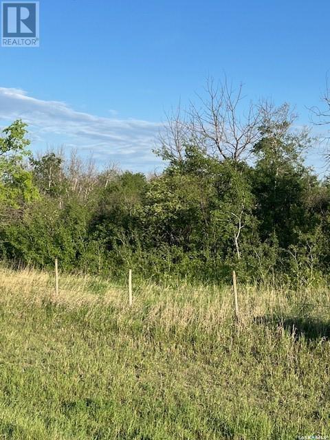 Auction Mart Road West 10 Acres, Corman Park Rm No. 344, Saskatchewan  S0K 2L0 - Photo 4 - SK993316