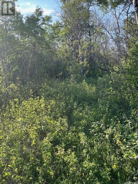 Auction Mart Road West 10 Acres, Corman Park Rm No. 344, Saskatchewan  S0K 2L0 - Photo 27 - SK993316