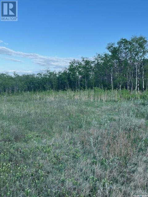 Auction Mart Road West 10 Acres, Corman Park Rm No. 344, Saskatchewan  S0K 2L0 - Photo 6 - SK993316