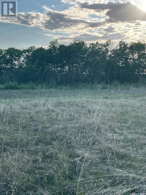 Auction Mart Road West 10 Acres, Corman Park Rm No. 344, Saskatchewan  S0K 2L0 - Photo 23 - SK993316