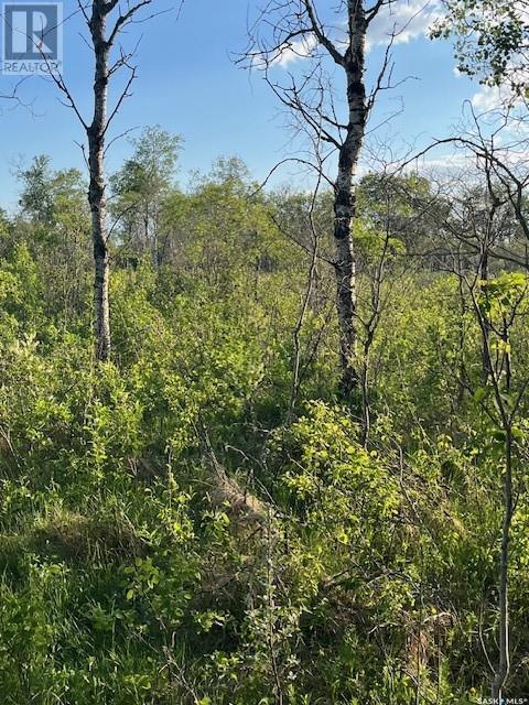 Auction Mart Road West 10 Acres, Corman Park Rm No. 344, Saskatchewan  S0K 2L0 - Photo 26 - SK993316