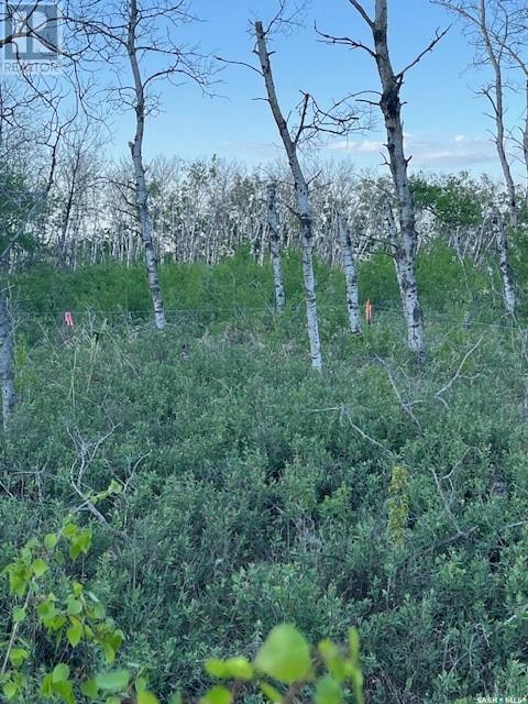 Auction Mart Road West 10 Acres, Corman Park Rm No. 344, Saskatchewan  S0K 2L0 - Photo 20 - SK993316