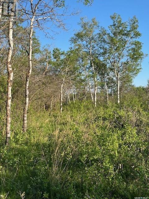 Auction Mart Road West 10 Acres, Corman Park Rm No. 344, Saskatchewan  S0K 2L0 - Photo 25 - SK993316