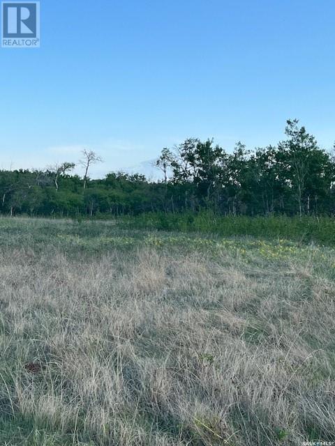 Auction Mart Road West 10 Acres, Corman Park Rm No. 344, Saskatchewan  S0K 2L0 - Photo 21 - SK993316