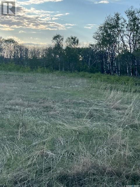 Auction Mart Road West 10 Acres, Corman Park Rm No. 344, Saskatchewan  S0K 2L0 - Photo 24 - SK993316