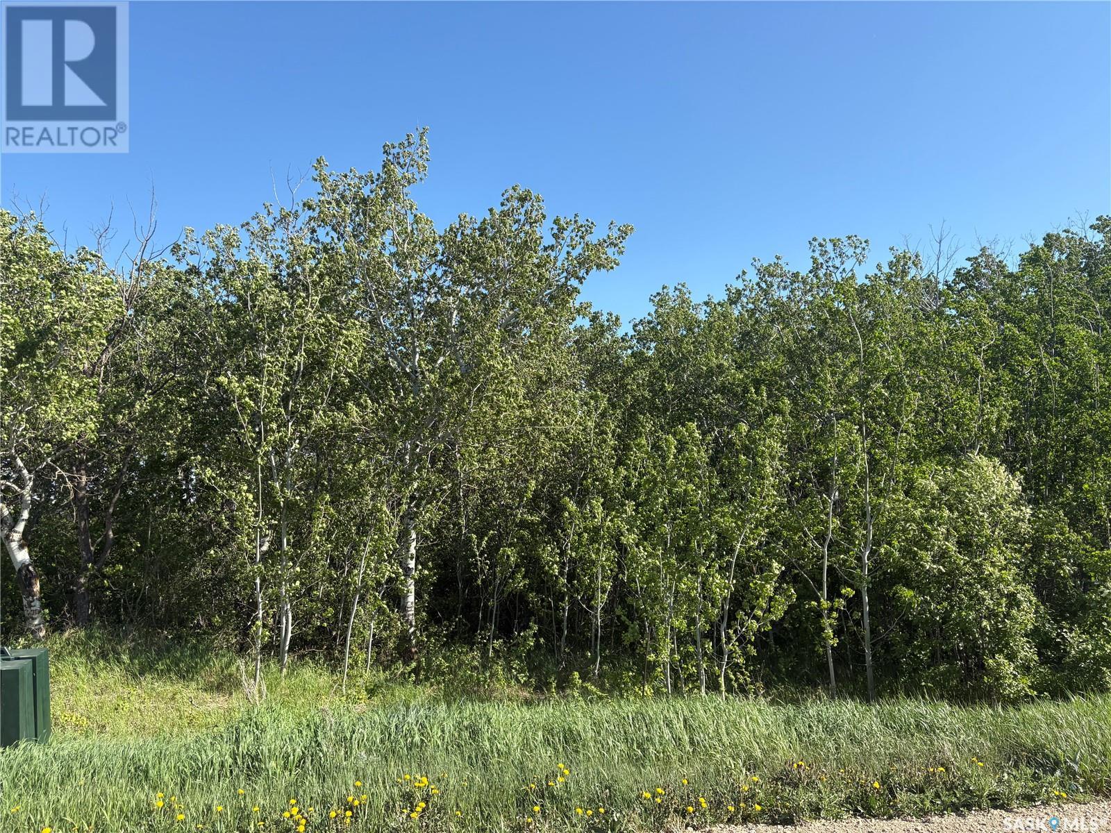 8 Humboldt Lake Crescent, Humboldt Rm No. 370, Saskatchewan  S0K 2A0 - Photo 5 - SK007242