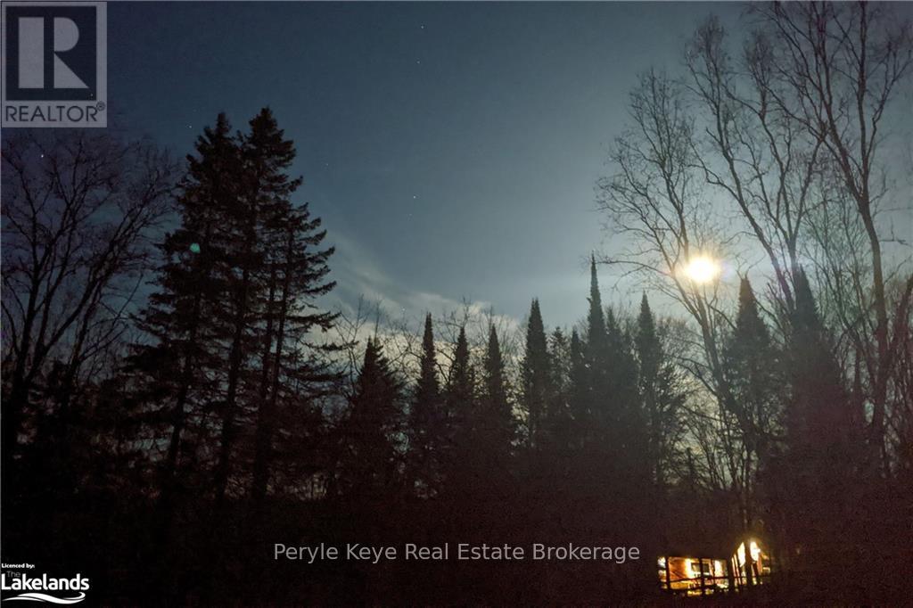 1322 Britannia Road, Huntsville, Ontario  P1H 2J3 - Photo 41 - X11966735