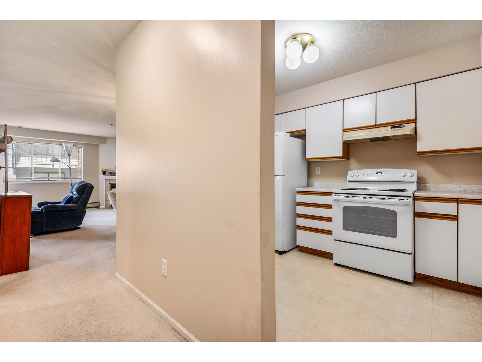 204 9186 Edward Street, Chilliwack Proper West, Chilliwack, British Columbia  V2P 7X6 - Photo 5 - R3009635
