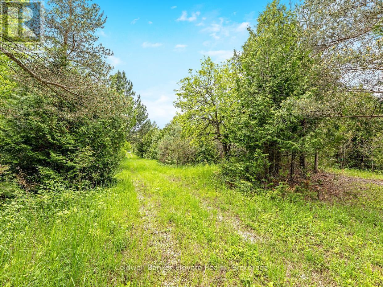 14915 Winston Churchill Boulevard, Caledon, Ontario  L7C 1S7 - Photo 20 - W12188999