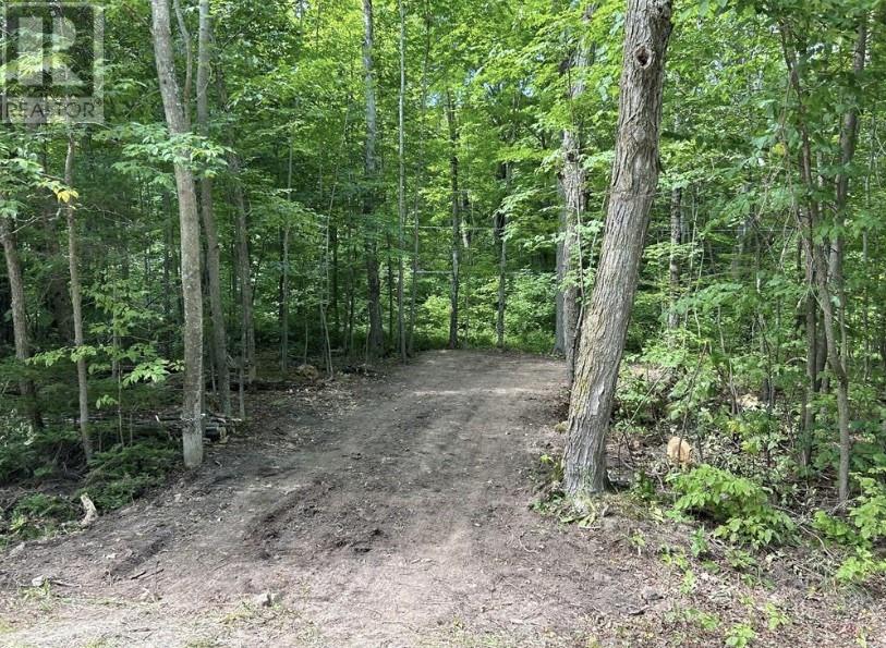 N/a Monument Road, Spring Bay, Ontario  P0P 2N0 - Photo 1 - 2122649