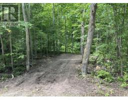 N/A Monument Road, Spring Bay, Ontario