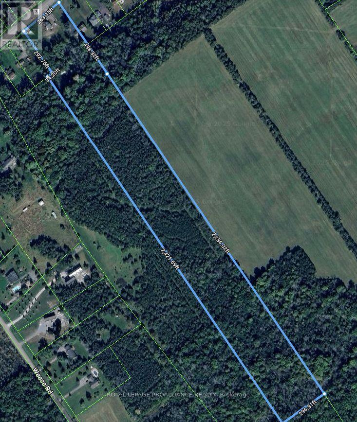 Property at 2237 COUNTY RD 3 image 3