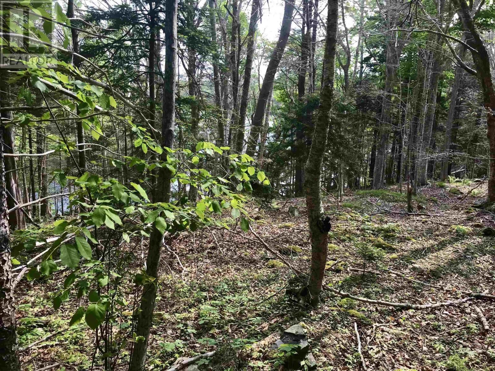 2 Acres Weymouth Falls Road, Weymouth Falls, Nova Scotia  B0W 3T0 - Photo 10 - 202512826