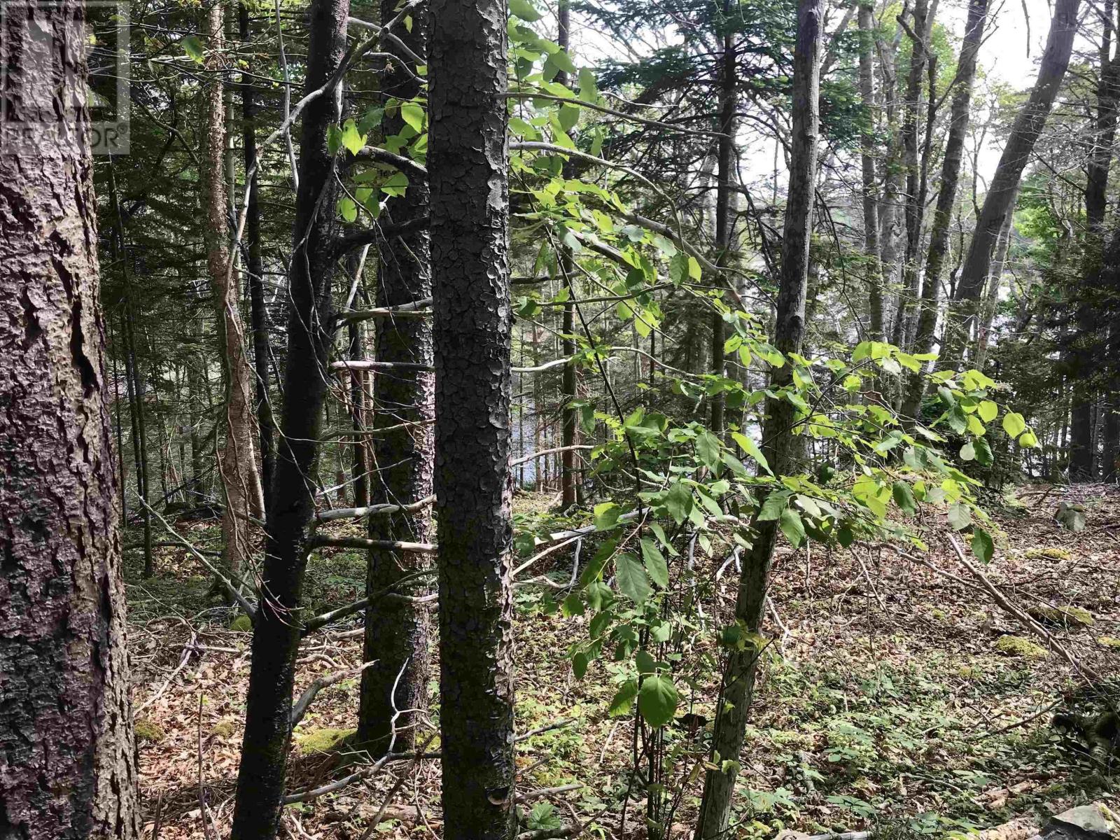 2 Acres Weymouth Falls Road, Weymouth Falls, Nova Scotia  B0W 3T0 - Photo 9 - 202512826