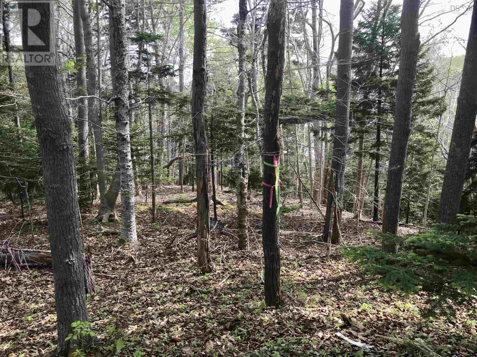 2 Acres Weymouth Falls Road, Weymouth Falls, Nova Scotia  B0W 3T0 - Photo 16 - 202512826