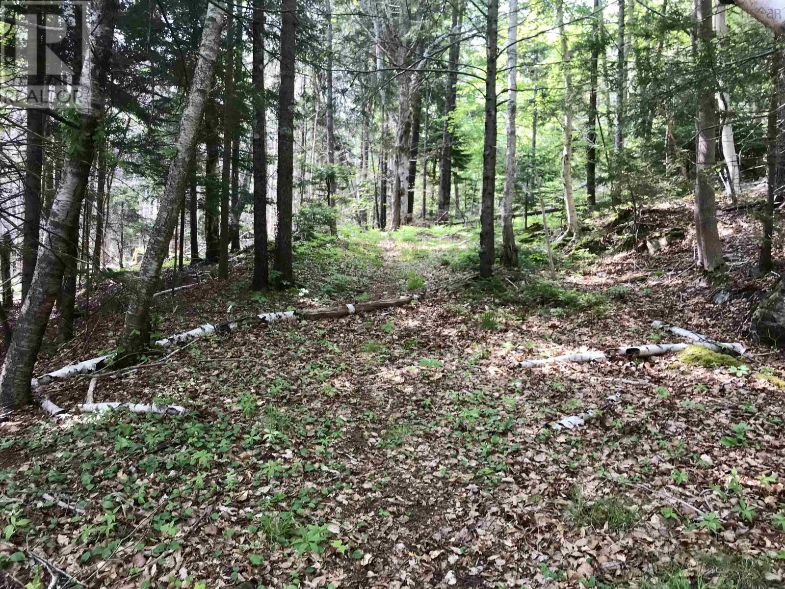 2 Acres Weymouth Falls Road, Weymouth Falls, Nova Scotia  B0W 3T0 - Photo 6 - 202512826