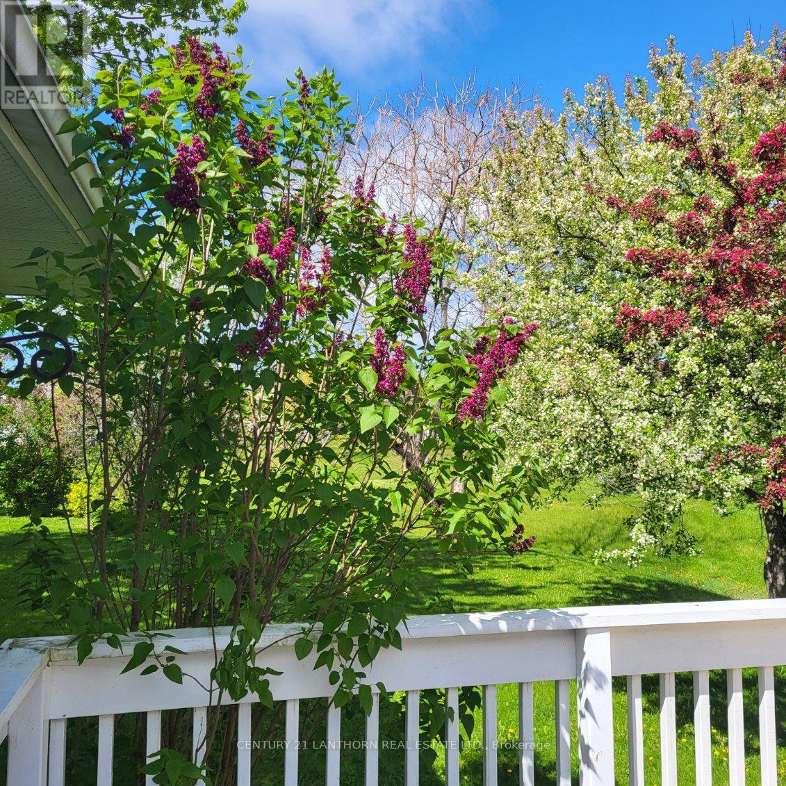 9 Reynolds Place, Prince Edward County, Ontario K0K 3L0 - Photo 27 - X11941422