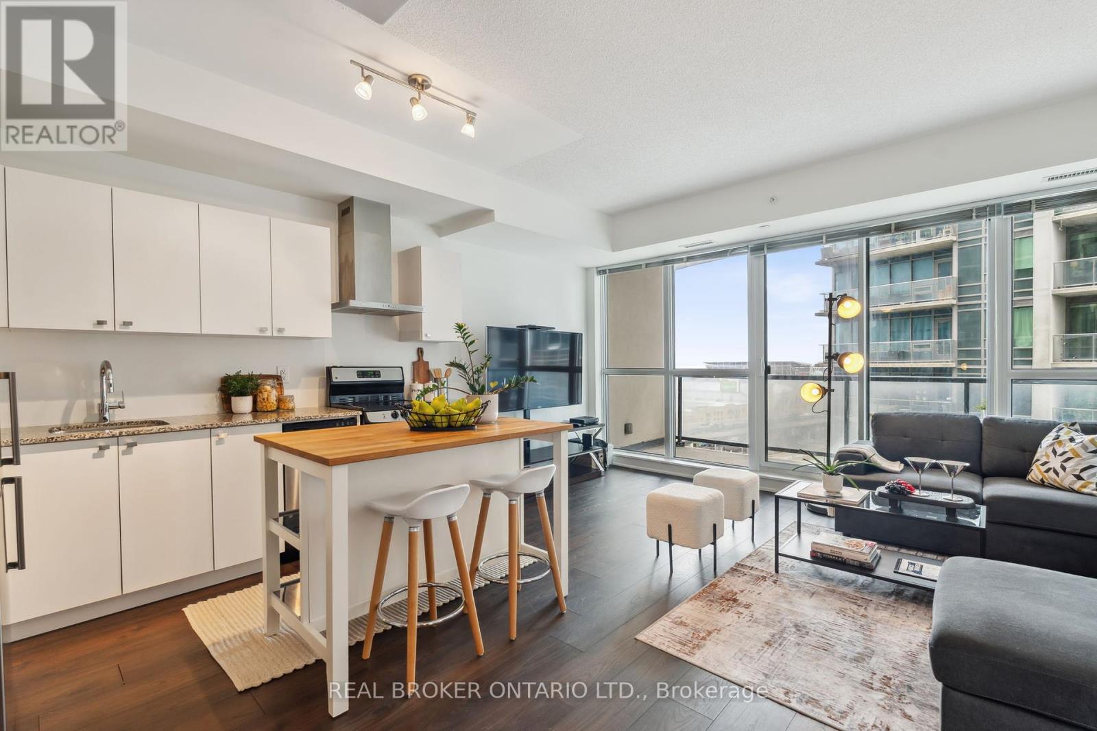 1115 - 51 East Liberty Street, Toronto, Ontario  M6K 3P8 - Photo 9 - C12189207
