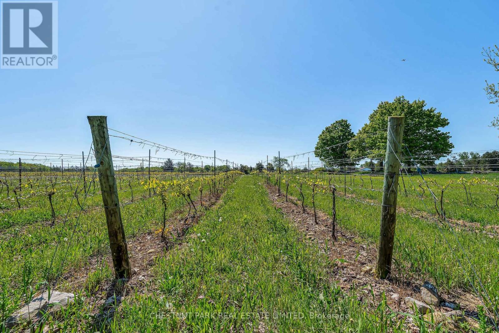 419 County Rd 25, Prince Edward County, Ontario  K0K 2T0 - Photo 28 - X12189479