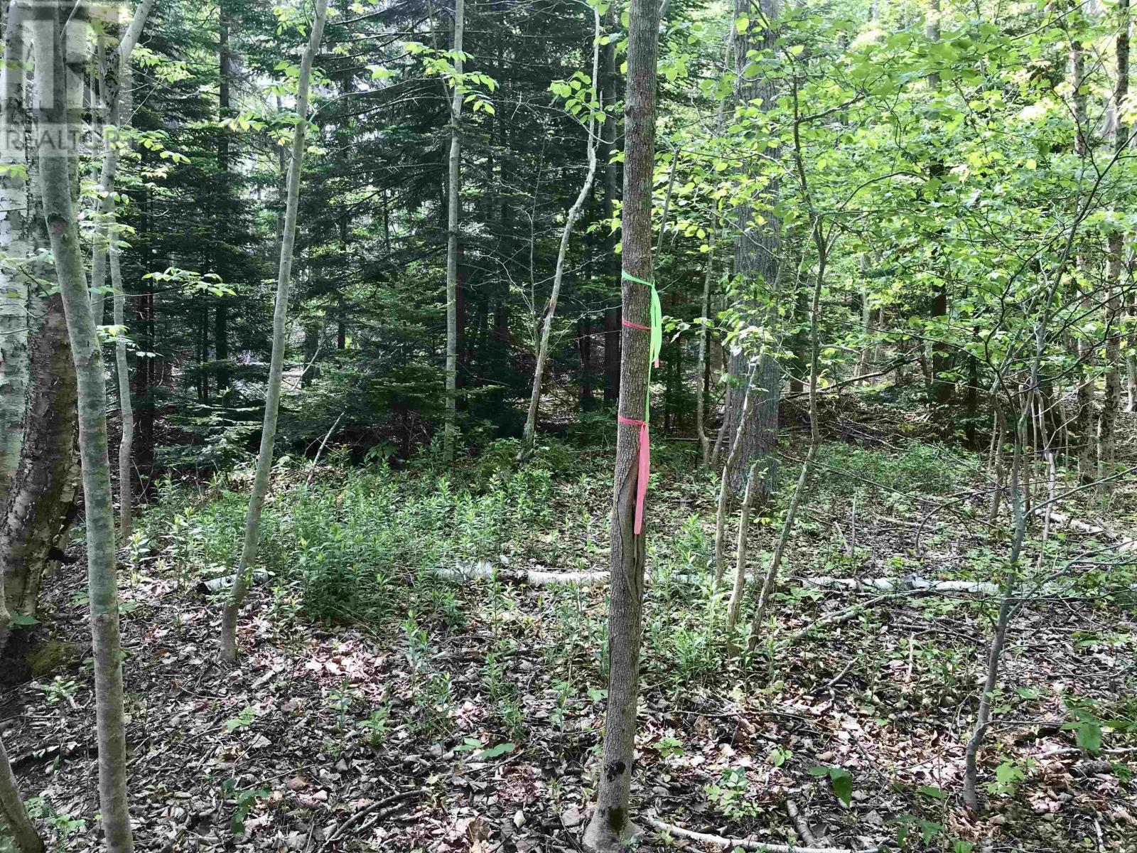 2 Acres Weymouth Falls Road, Weymouth Falls, Nova Scotia  B0W 3T0 - Photo 17 - 202512826