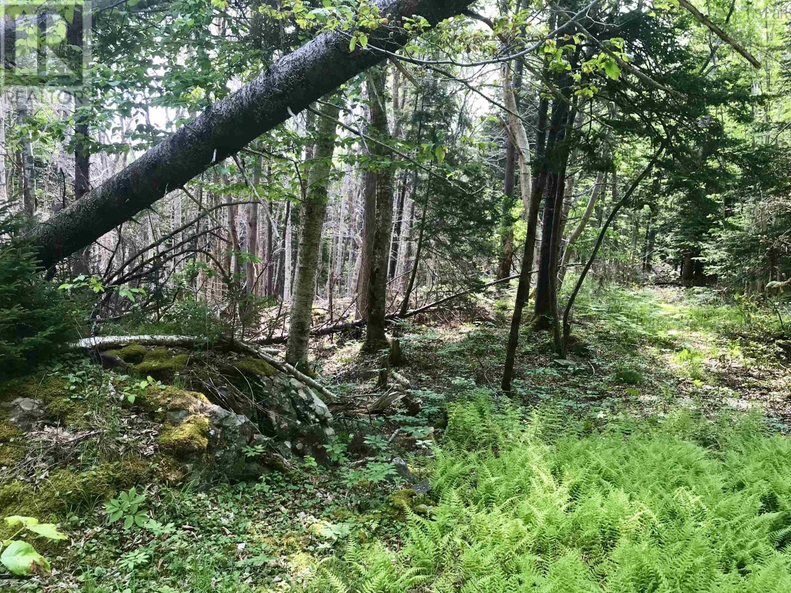 2 Acres Weymouth Falls Road, Weymouth Falls, Nova Scotia  B0W 3T0 - Photo 11 - 202512826