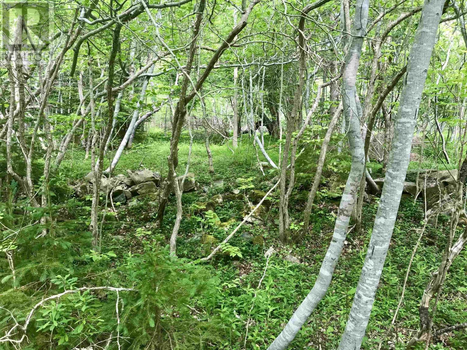 2 Acres Weymouth Falls Road, Weymouth Falls, Nova Scotia  B0W 3T0 - Photo 12 - 202512826