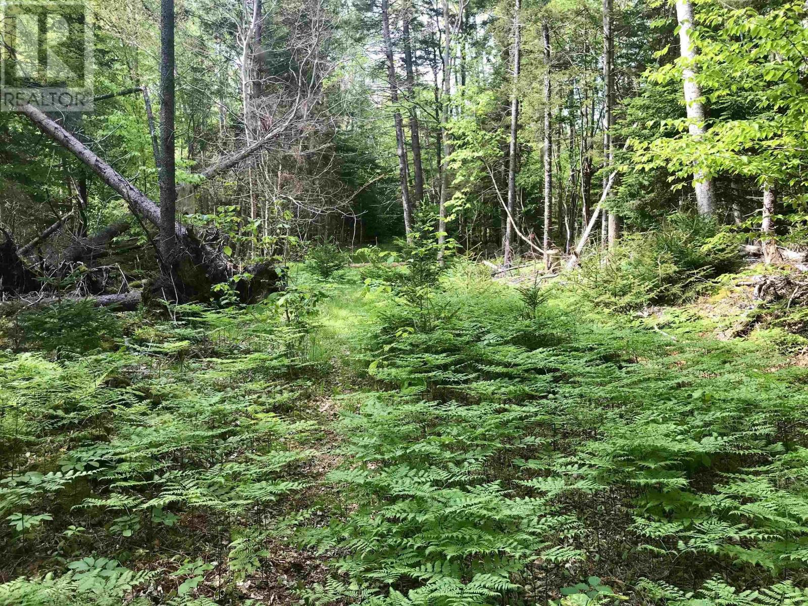 2 Acres Weymouth Falls Road, Weymouth Falls, Nova Scotia  B0W 3T0 - Photo 14 - 202512826