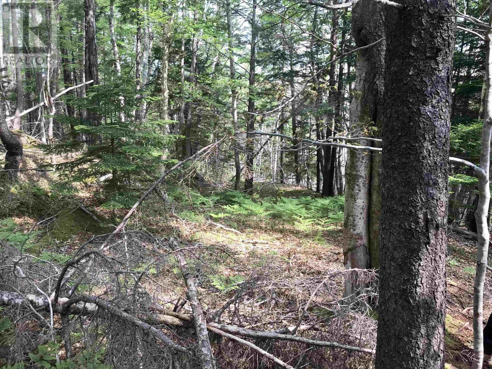 2 Acres Weymouth Falls Road, Weymouth Falls, Nova Scotia  B0W 3T0 - Photo 15 - 202512826
