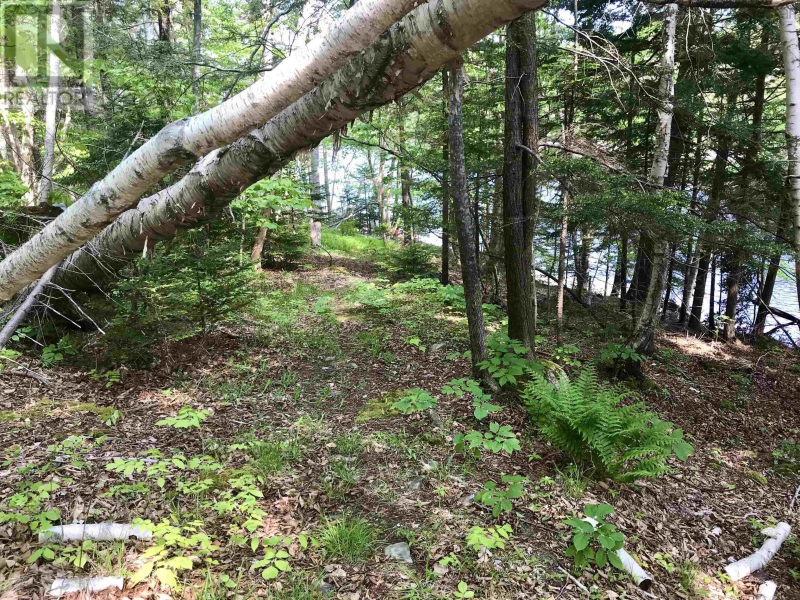 2 Acres Weymouth Falls Road, Weymouth Falls, Nova Scotia  B0W 3T0 - Photo 8 - 202512826