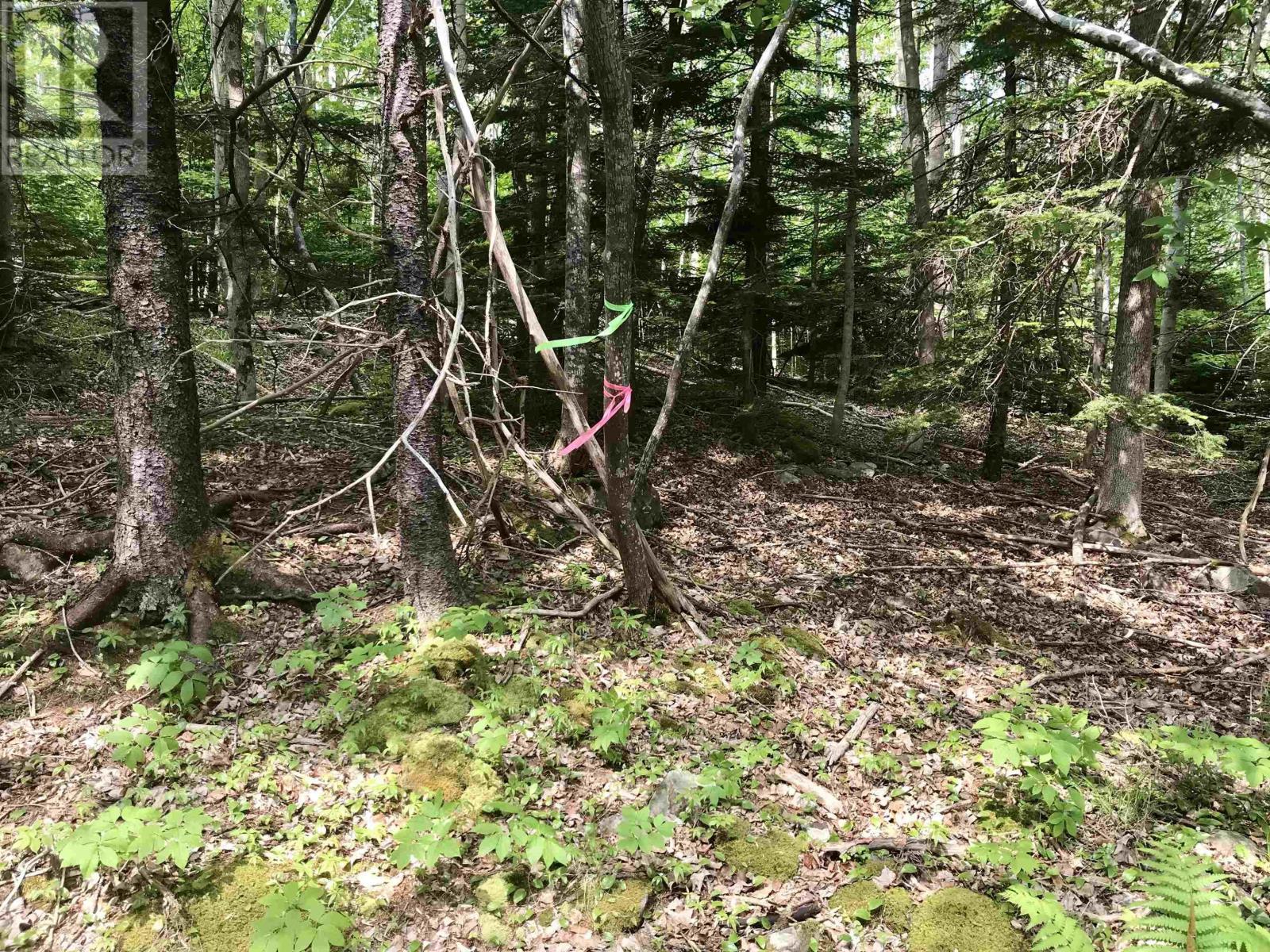 2 Acres Weymouth Falls Road, Weymouth Falls, Nova Scotia  B0W 3T0 - Photo 18 - 202512826