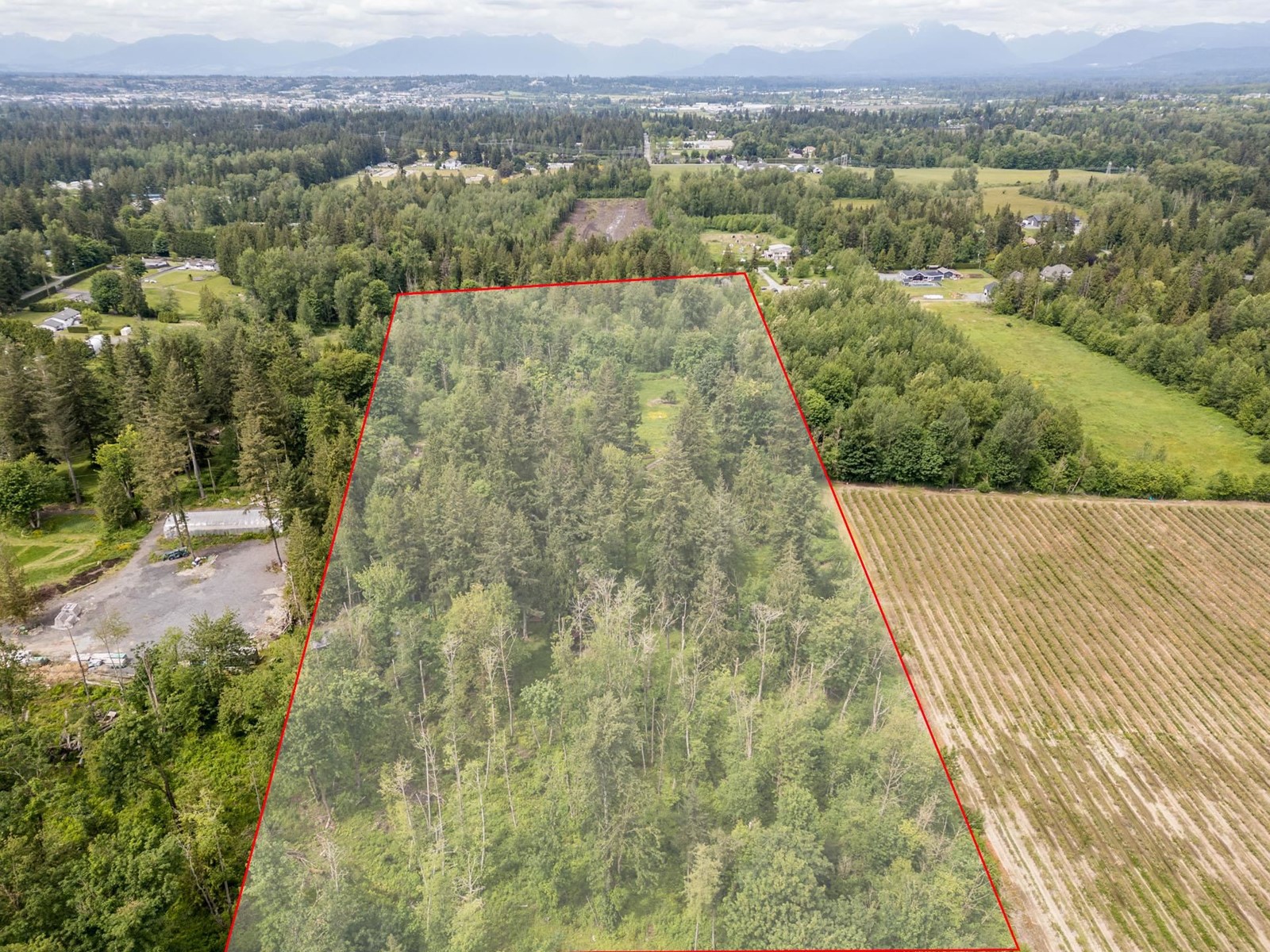 3390 210 Street, Langley, British Columbia  V2Z 2E5 - Photo 20 - R3007394