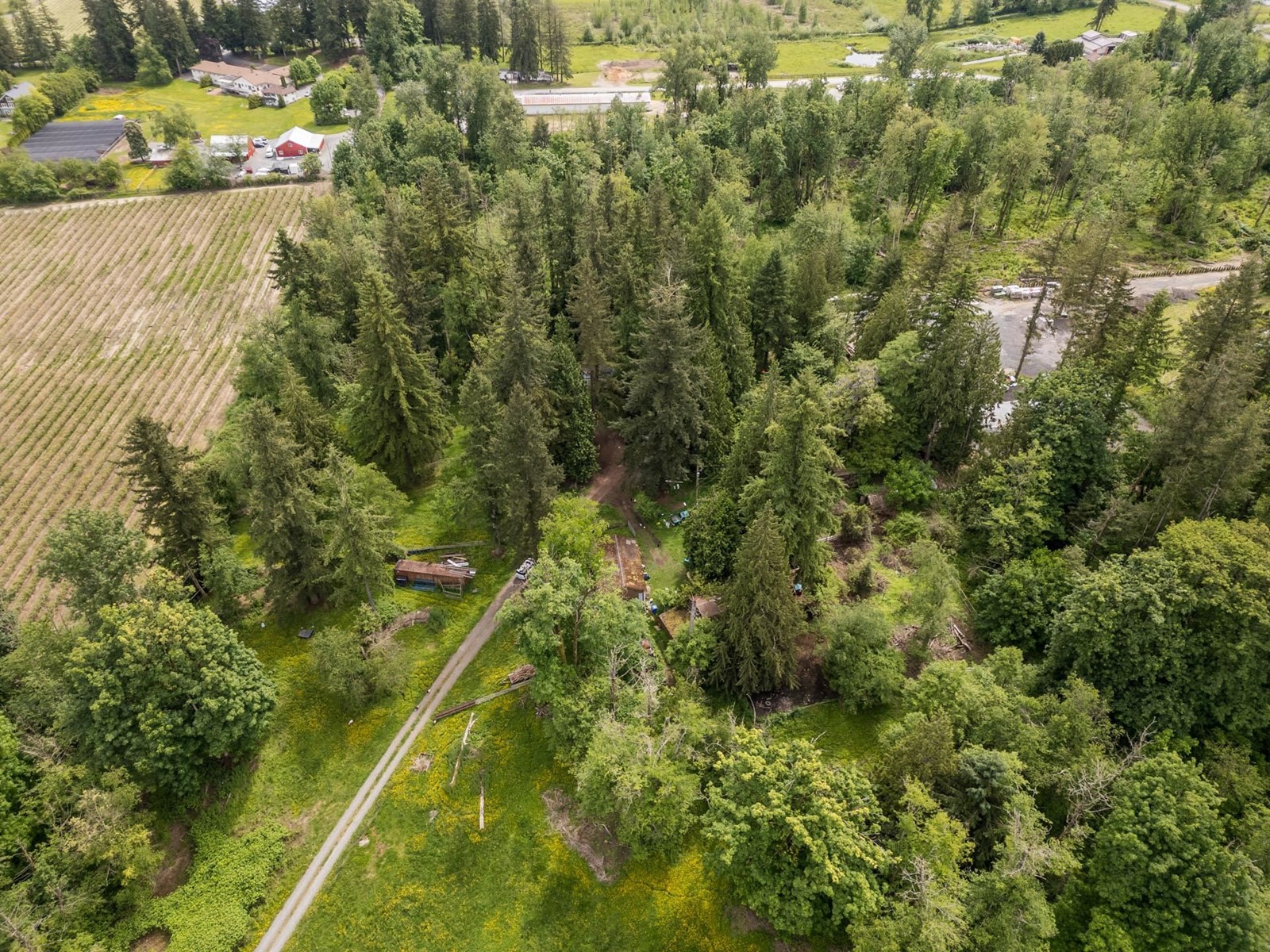 3390 210 Street, Langley, British Columbia  V2Z 2E5 - Photo 8 - R3007394