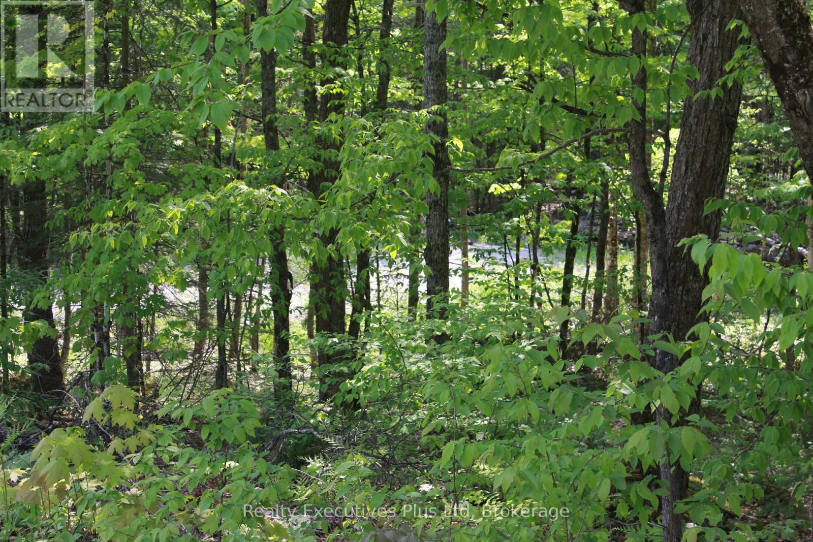 66 Lake Haven Drive, Kearney, Ontario  P0A 1M0 - Photo 14 - X12084285