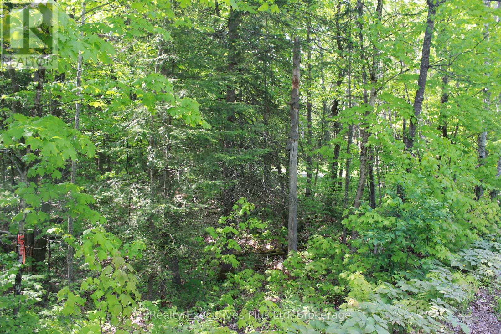 66 Lake Haven Drive, Kearney, Ontario  P0A 1M0 - Photo 12 - X12084285