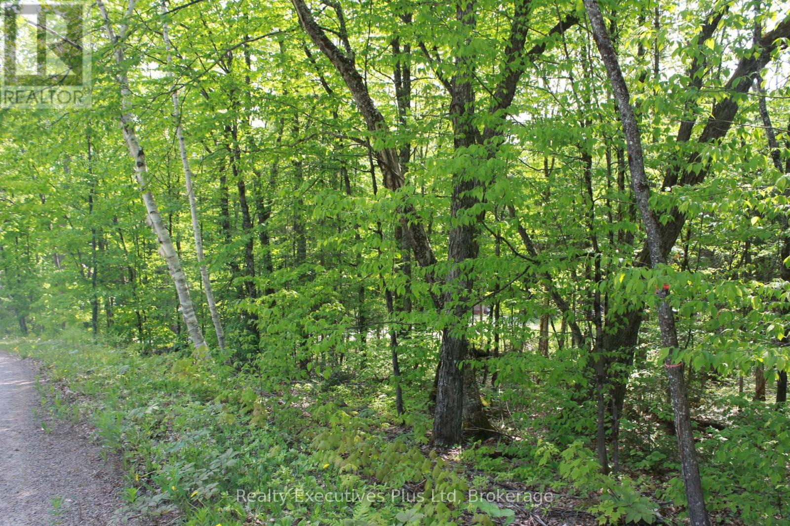 66 Lake Haven Drive, Kearney, Ontario  P0A 1M0 - Photo 13 - X12084285