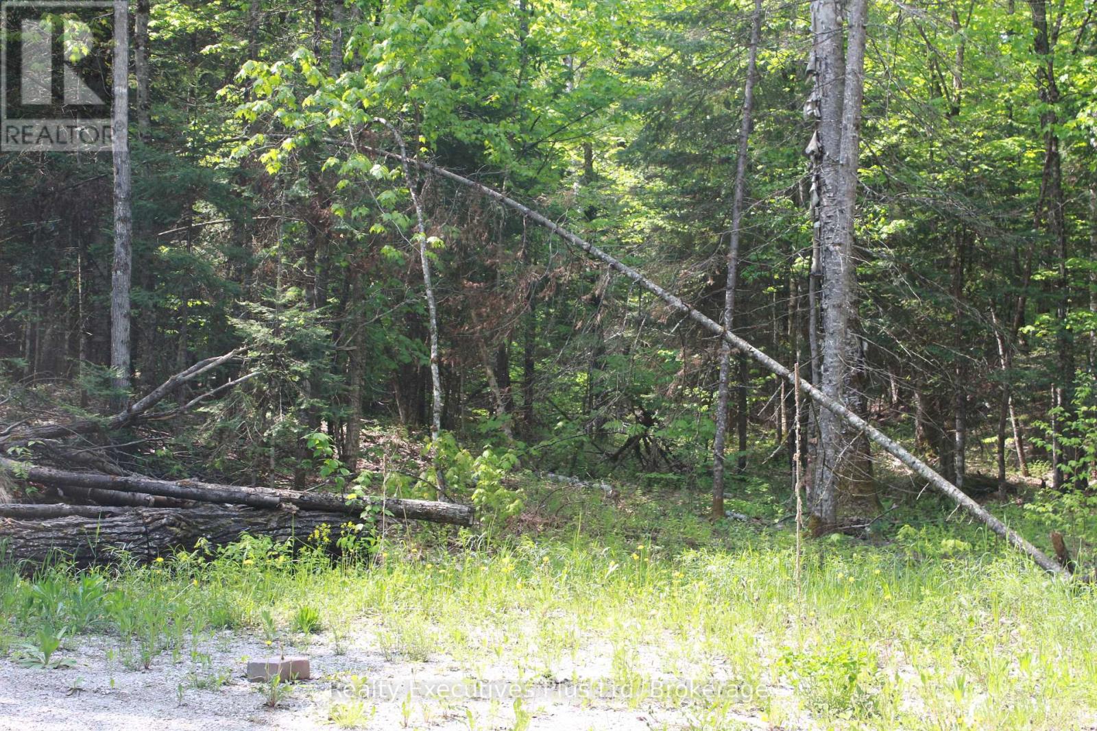 66 Lake Haven Drive, Kearney, Ontario  P0A 1M0 - Photo 8 - X12084285
