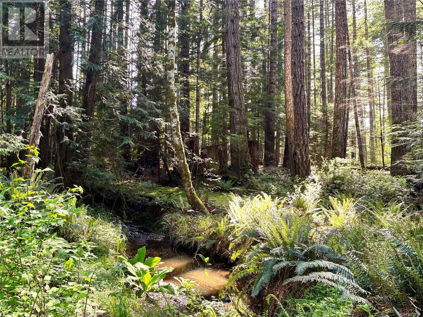 7161 Komas Rd, Denman Island, British Columbia  V0R 1T0 - Photo 45 - 1001712