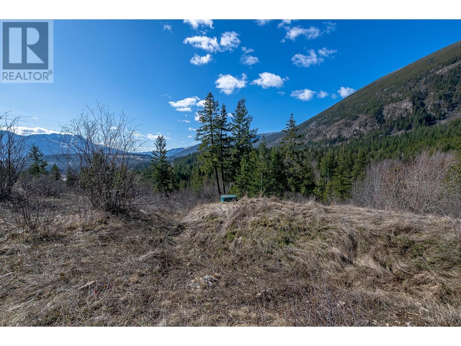 Lot 1 Kault Hill Road, Salmon Arm, British Columbia  V1E 3A3 - Photo 4 - 10340621