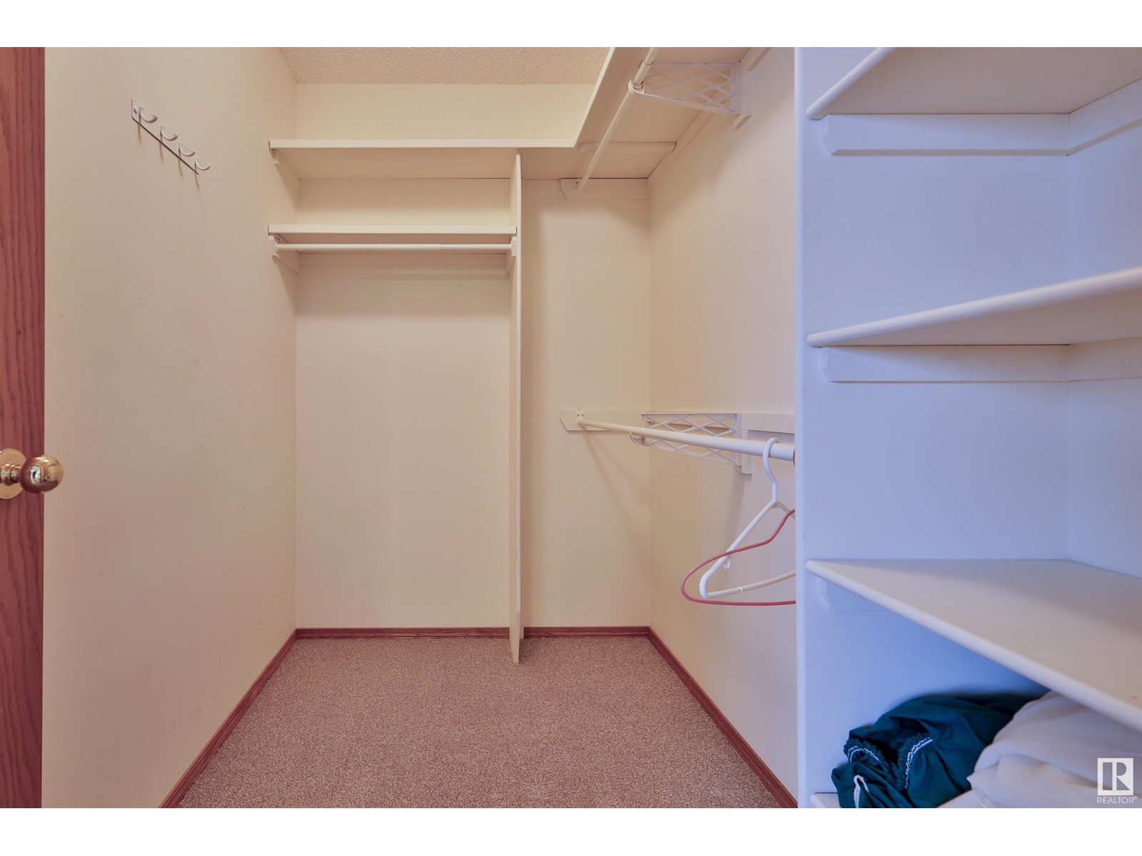 861 Ryan Pl Nw, Edmonton, Alberta  T6R 2N1 - Photo 30 - E4439894