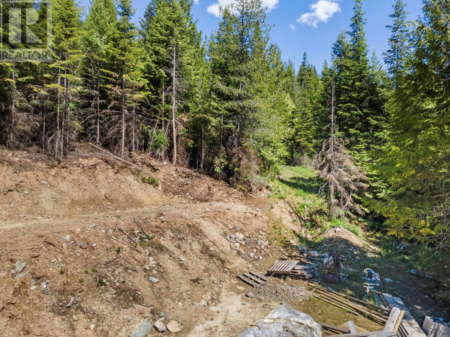 7034 3 Highway, Kitchener, British Columbia V0B 1W1 - Photo 4 - 10350211